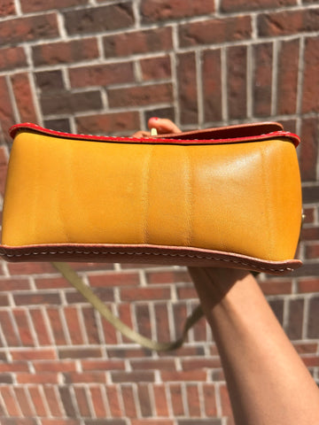 Swiggly Crossbody purse in Brown, Red, & Yellow!